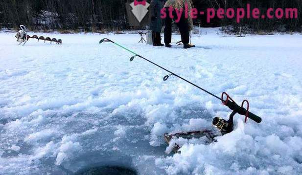 La caza y la pesca en la región de Perm: sobre todo la pesca, tipos de caza y pesca