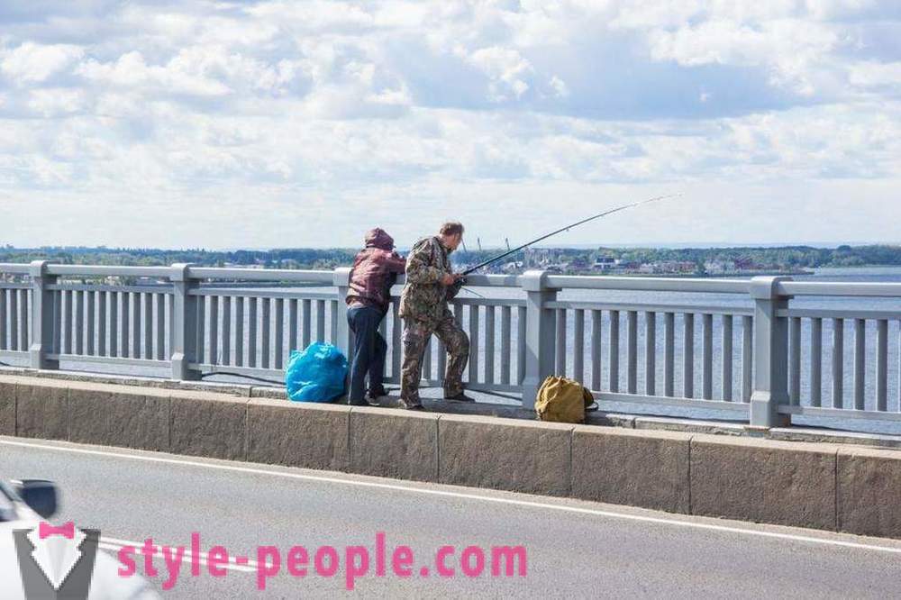 La pesca en Saratov en el Volga: fotos y comentarios