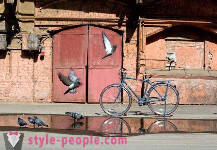 Bicicletas Shulz: descripción, características, fabricante, opiniones