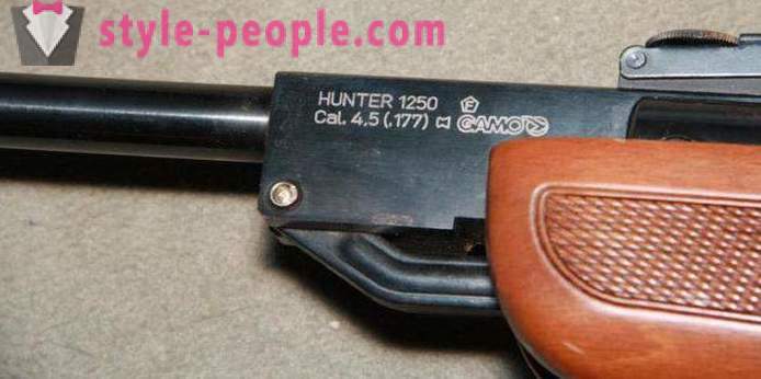 Escopeta de aire comprimido Gamo Hunter 1250: descripción, características y opiniones