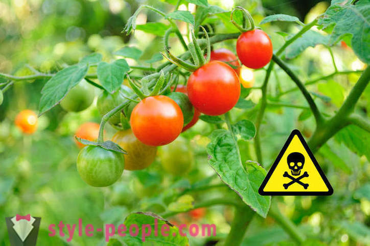 Esto es perjudicial para comer tomates?