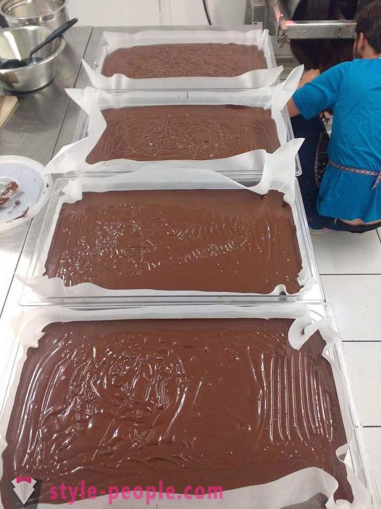 El proceso de cultivo y producción de chocolate