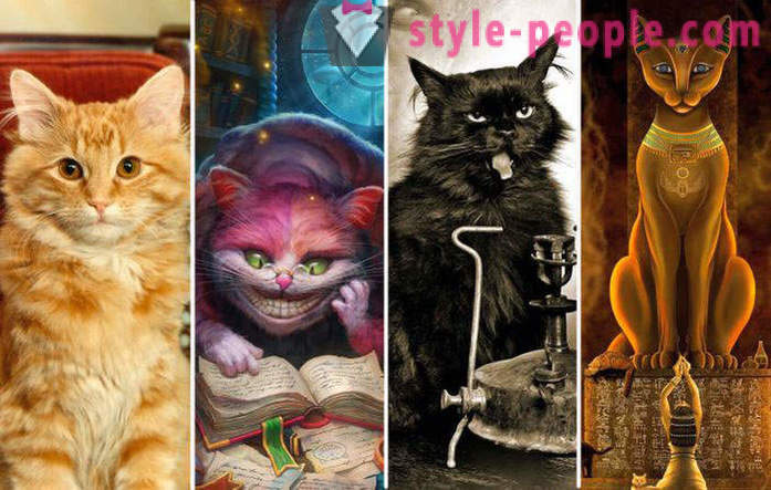 La historia de los gatos literarios