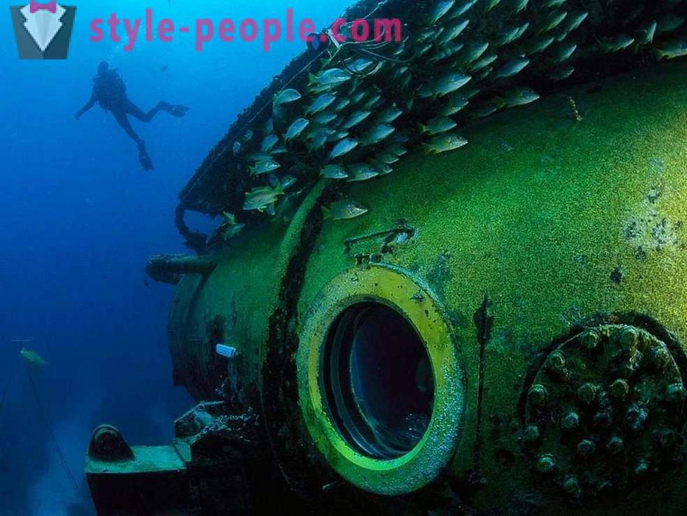 Habitantes sorprendentes del mundo submarino en imágenes