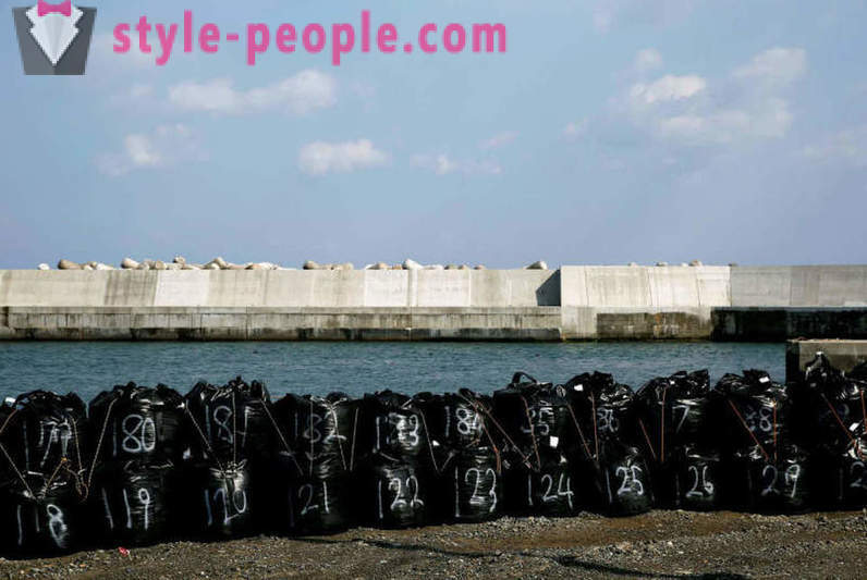 Costa de Japón, el tsunami dañado en 2011, protege la pared de 12 metros