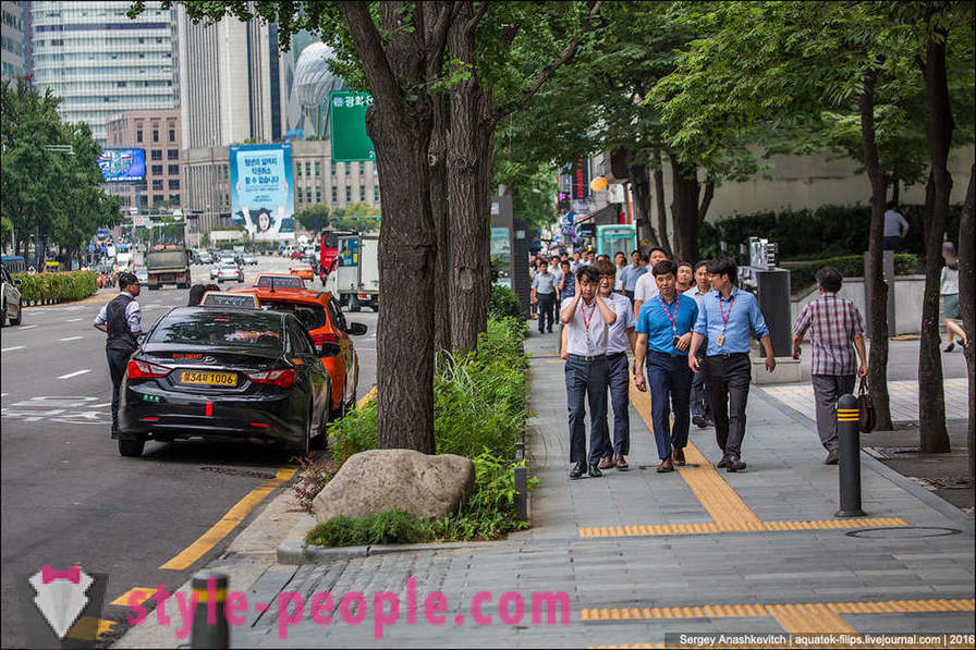 Medios necesarios para ilustrar la jungla de asfalto en Seúl