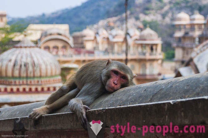 Viajar a Jaipur India