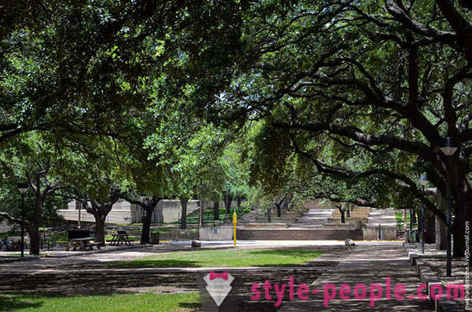 Caminar a la Universidad de Texas