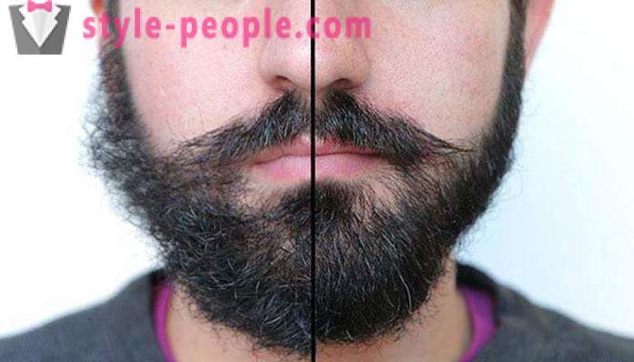 La barba de los hombres con estilo: tipos, especialmente el cuidado