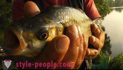 La pesca en Pakhra: fotos y comentarios. lugares de pesca