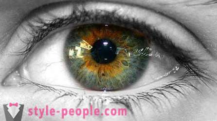 Color de los ojos pantano. ¿Qué determina el color del ojo humano?