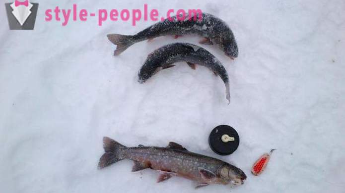 Pescadores en cuenta: la pesca de truchas en invierno