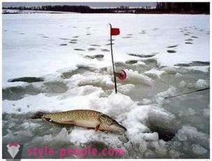 Pesca del lucio en invierno zherlitsy. pesca del lucio en el arrastre de invierno