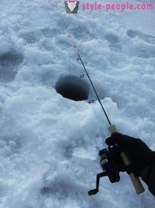 Lota pesca en el invierno en zherlitsy. La captura de la lota de arrastre de invierno