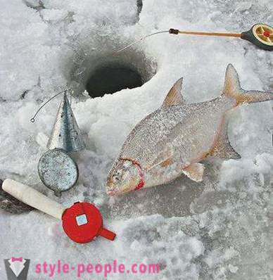 Pesca de besugo en invierno: las entradas y salidas de los pescadores novatos