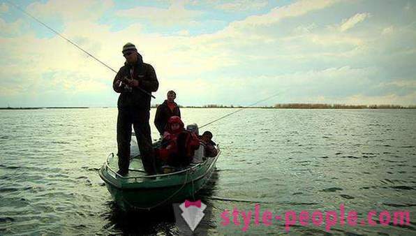 ¿Cómo capturar la carpa: recomendaciones pescadores