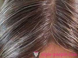 ¿Por qué a su vez el pelo gris: Cómo frenar este proceso