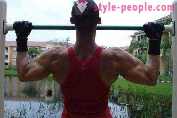 ¿Cómo construir músculos de la espalda? varios ejercicios